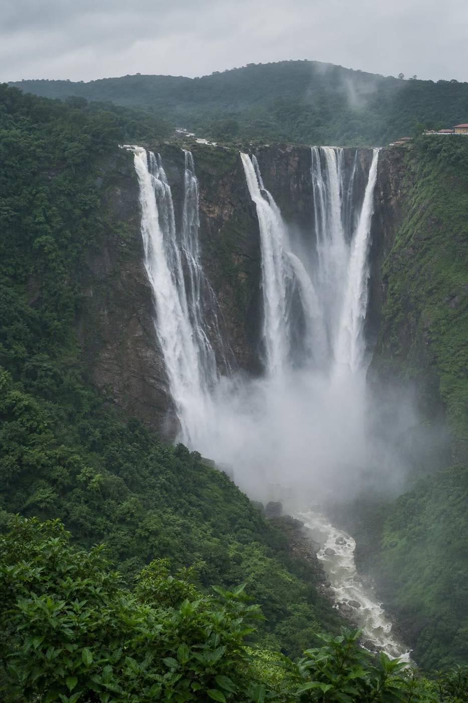 Jog Falls cascading through Karnataka's Western Ghats