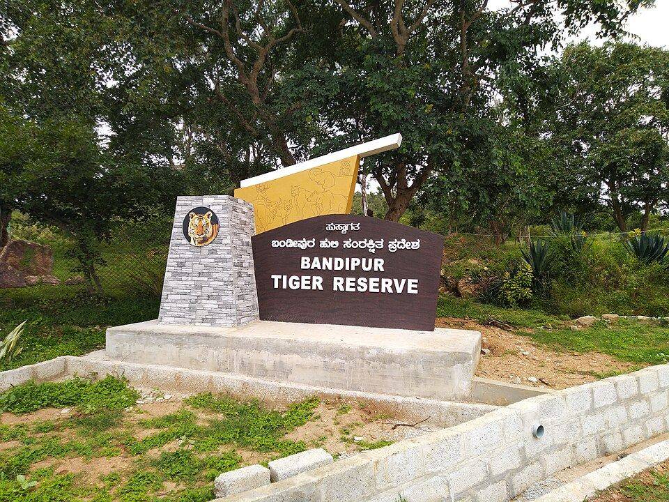 Bandipur — Wildlife