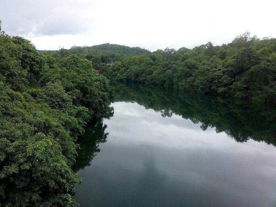 Dandeli — Nature